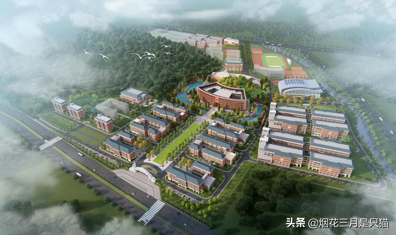 征集志愿广东专科有哪些学校,广东专科征集志愿学校