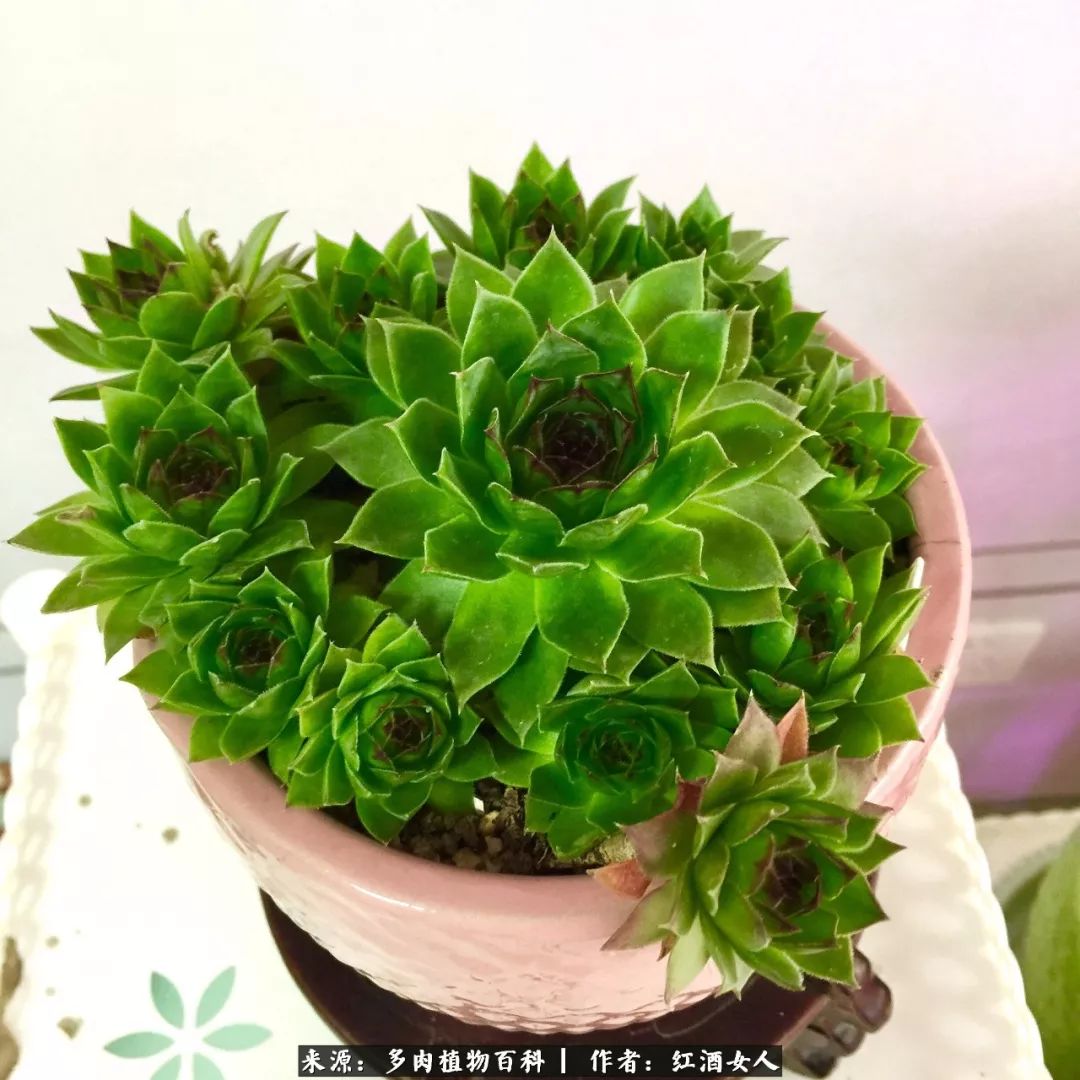 记录走过的美景留下美好的回忆,记录走过的每一段美好时光