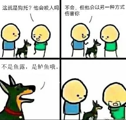 《动森》趣味玩法盘点!算卦取名、戏精COS、囤货炒股……