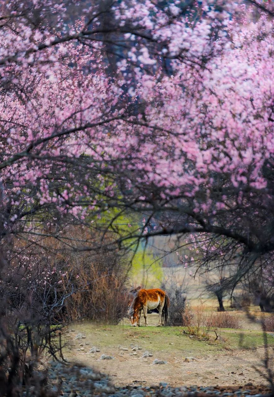 全世界景色最美的十个地方,世界上最美的26个地方你一定要去