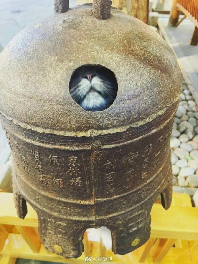 浣犺兘鐚滃嚭璋佺畻鎴戣緭,浣犵寽寰楀嚭鏉ョ畻鎴戣緭