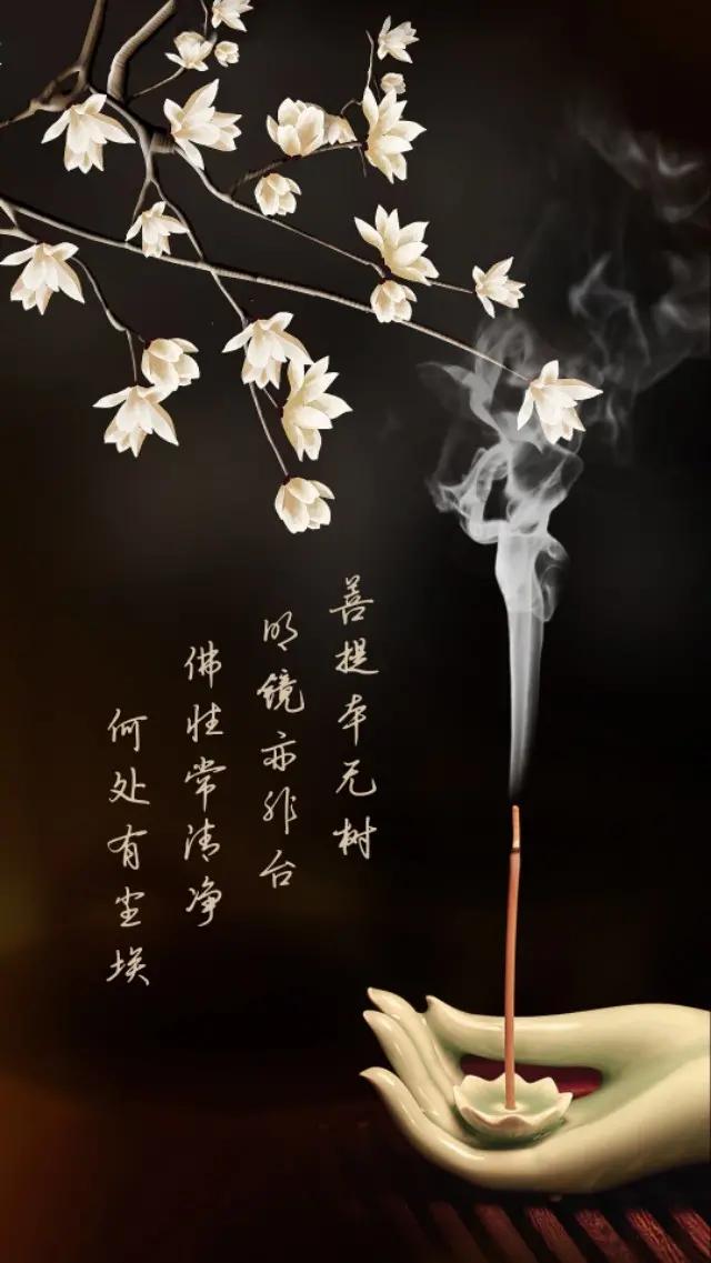 手机壁纸一花一世界一叶一菩提,一叶一菩提壁纸