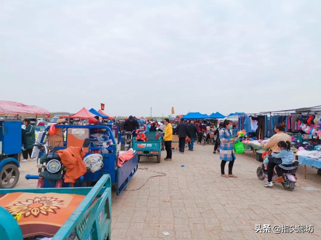 廊坊杨税务集市,在早市遇见久违的人间烟火气
