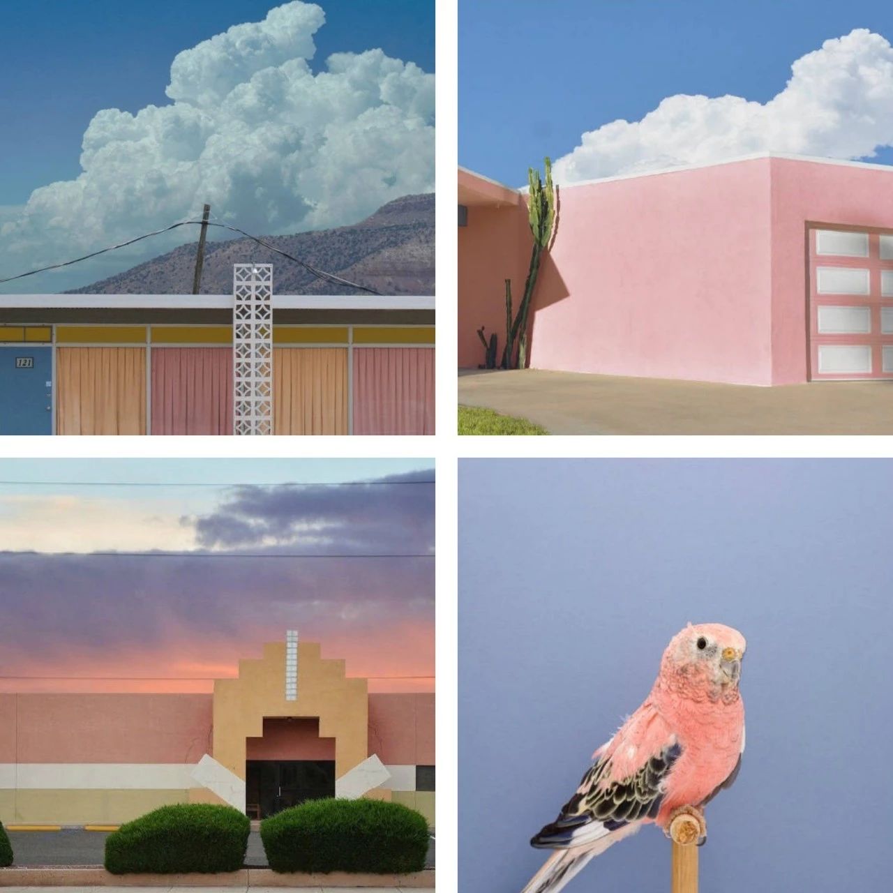 秋冬不做美甲，我根本活不下去！