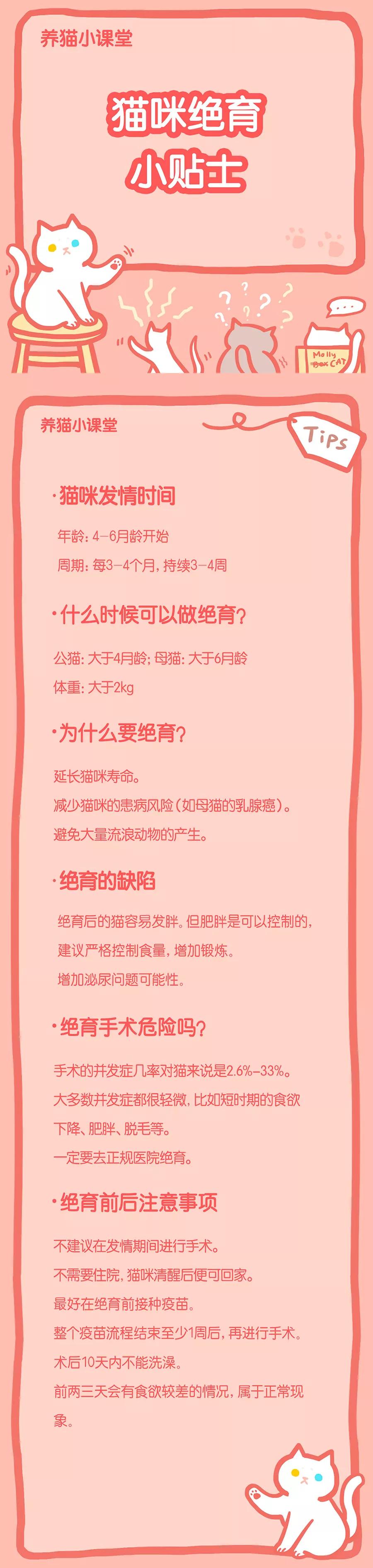 猫割了蛋,猫割了蛋会怎么样