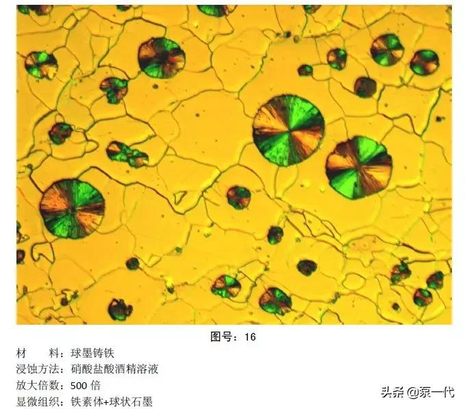 马氏体、奥氏体、珠光体,20种材料彩色金相,带你轻松识别