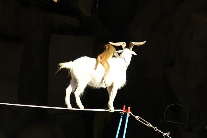 任正非如何度过这短暂的一生,任正非度过充满困难的一生