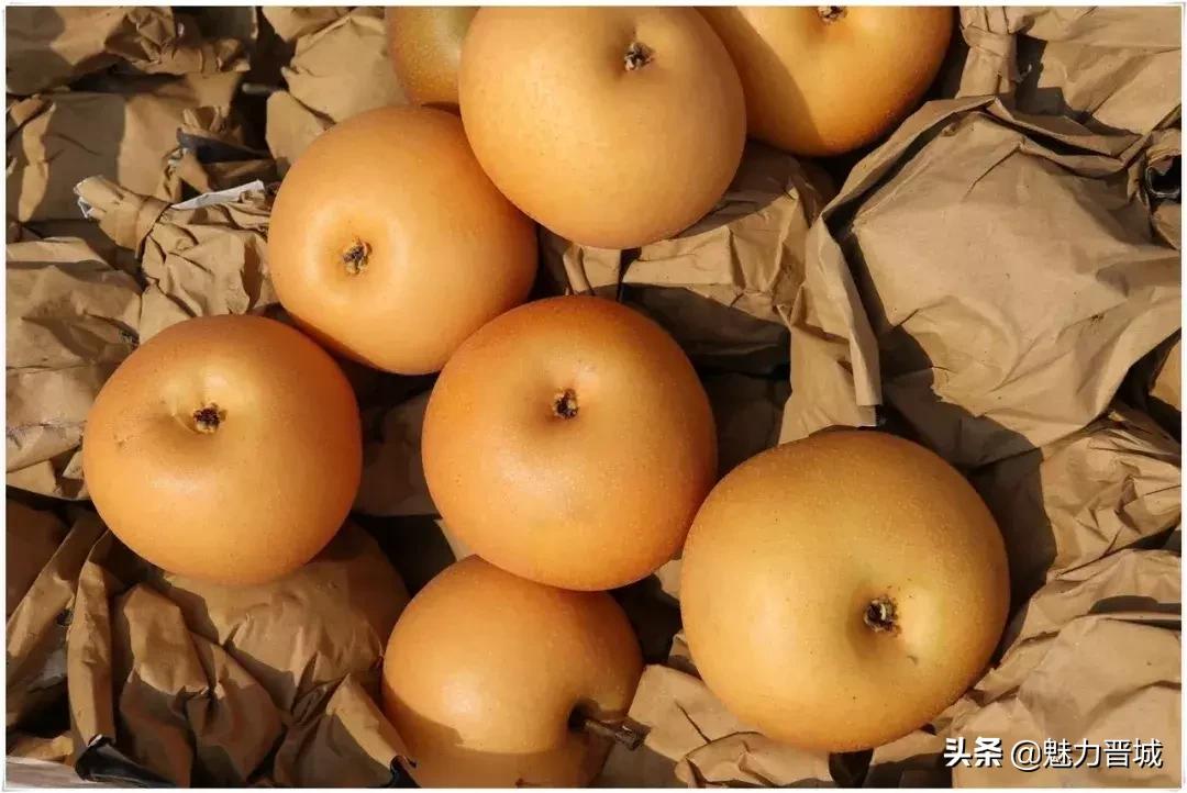 自家果园翠冠梨脆甜多汁欢迎采摘,砀山果园现摘青皇冠梨