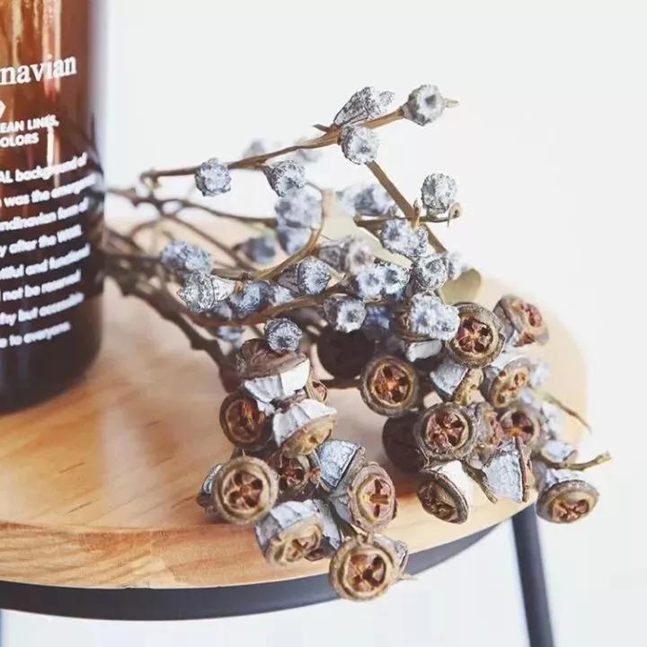 她用这种高颜值的干花装饰家里，隔壁邻居都惊叹不已