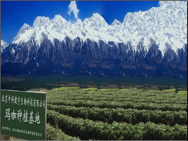 宁夏农科院赵兵,中科院赵兵教授