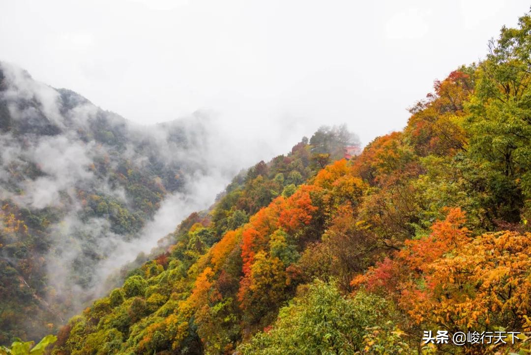 千里大别山美景在英山,大别山秋景攻略图文