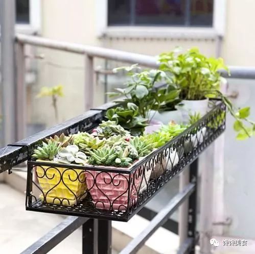 铁艺花架怎么装饰好看,铁艺花架装饰效果图大全