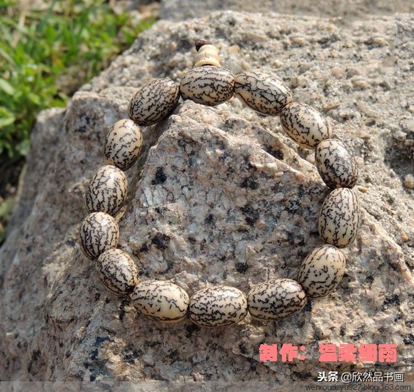木鱼菩提子的种类全图解,菩提子手串种类图