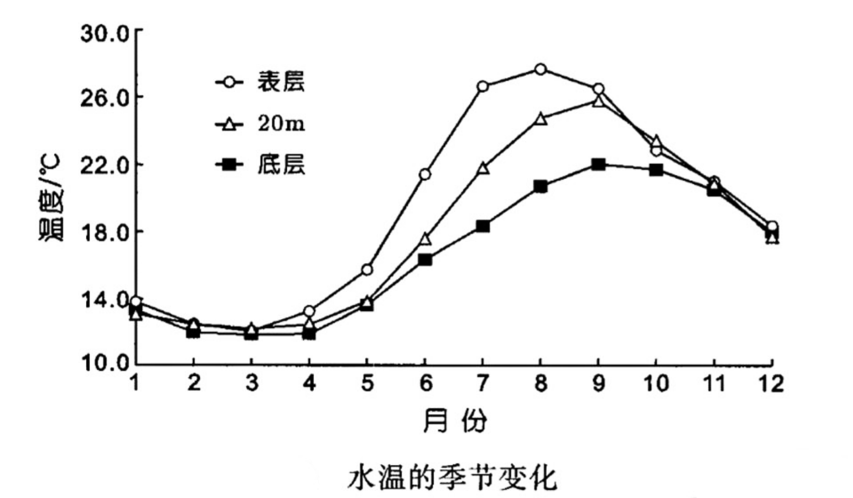 红尾鲶有多凶猛,红尾鲶是入侵物种吗