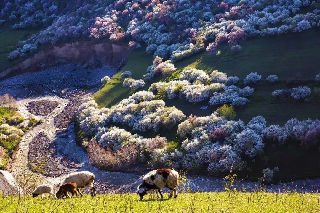 一篇攻略秒懂新疆,介绍新疆自驾游文章