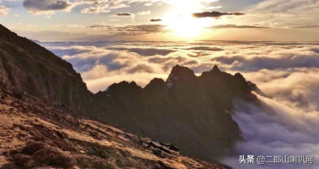 鎶婇鏅粰甯﹁蛋,鎶婂ス甯﹁蛋