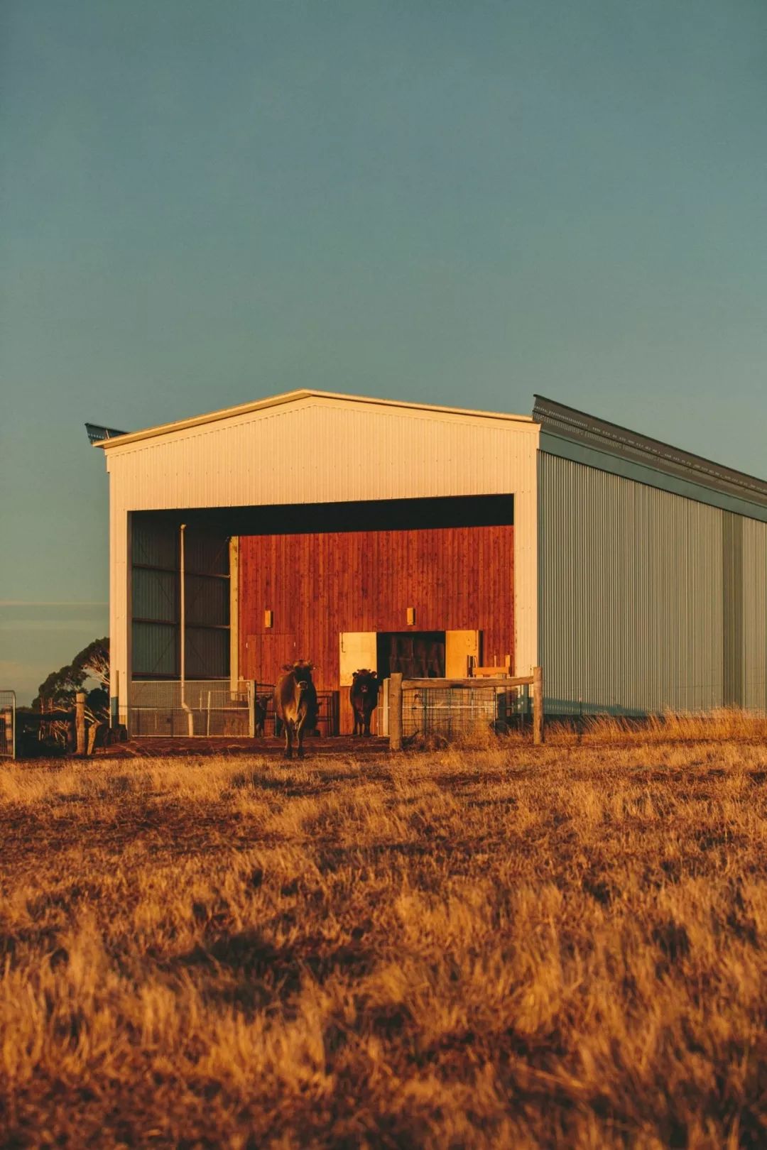 森林屋设计,森林屋建造