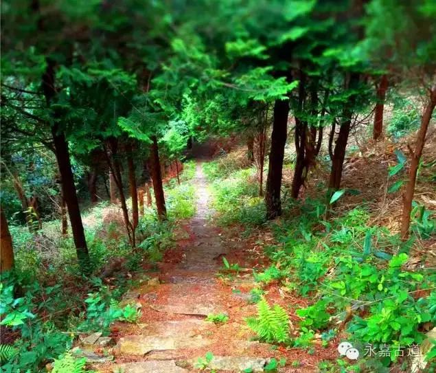 温州四海尖上观日出，初阳如血，美轮美奂，绝无仅有