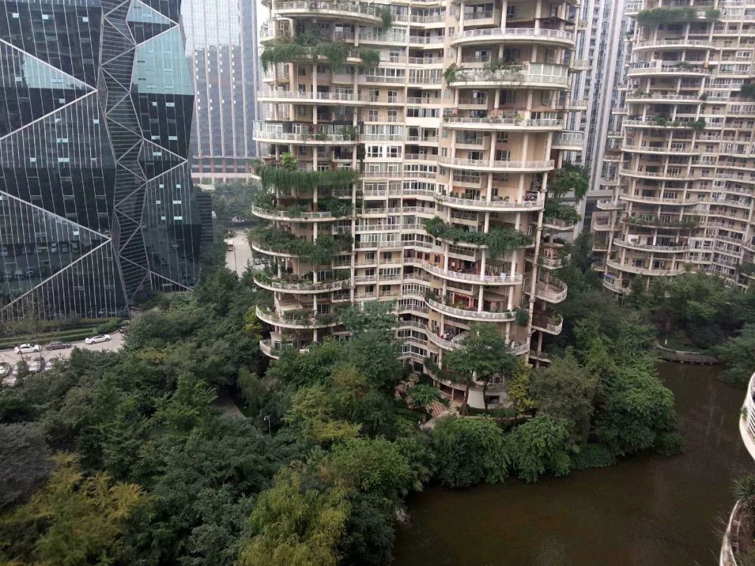 高新区网红小区价格,网红楼盘城东热销楼盘