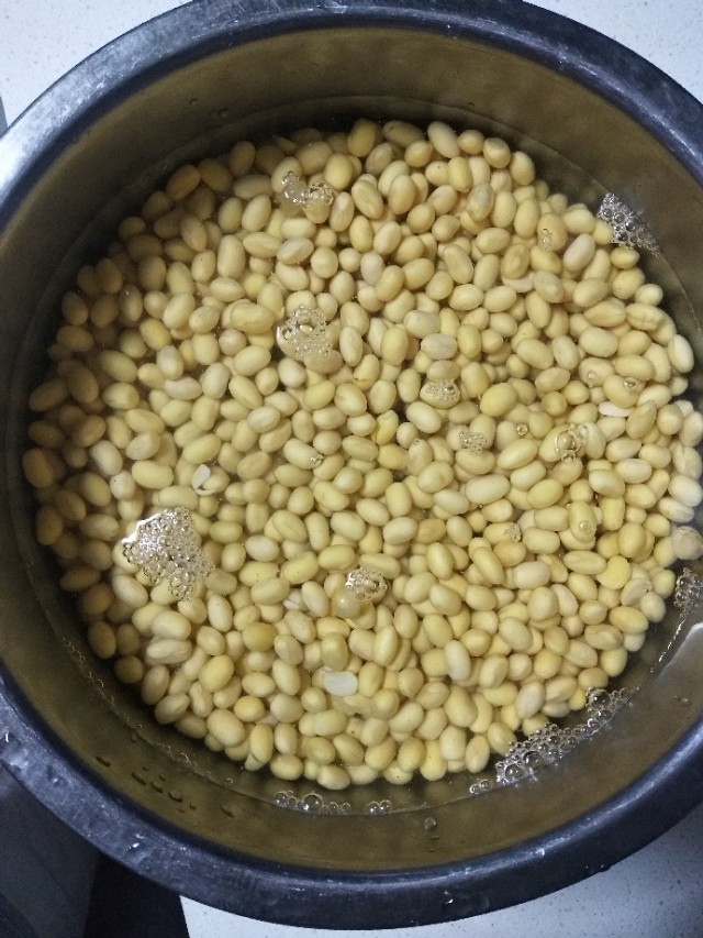 在山东、河南两地，当西瓜遇见黄豆，感觉妙不可言！