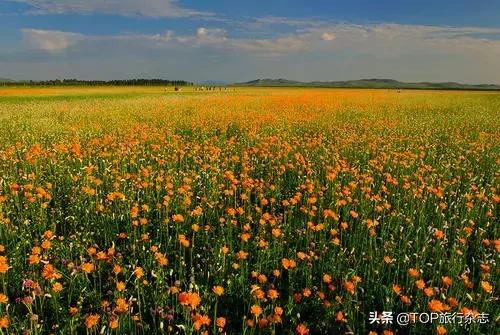 禁闭了半年多的“中国66号公路”，终于在6月开放！没去过不好意思称老司机