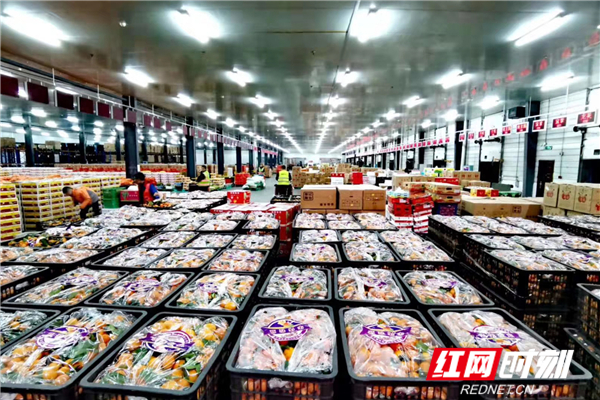 步步高王填巡店,步步高关于疫情期纾困的报告