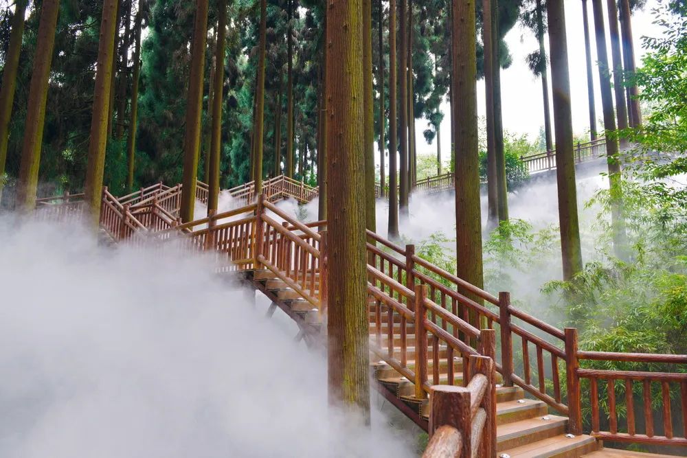 四川绝美风景酒店,四川旅游十大必去酒店推荐