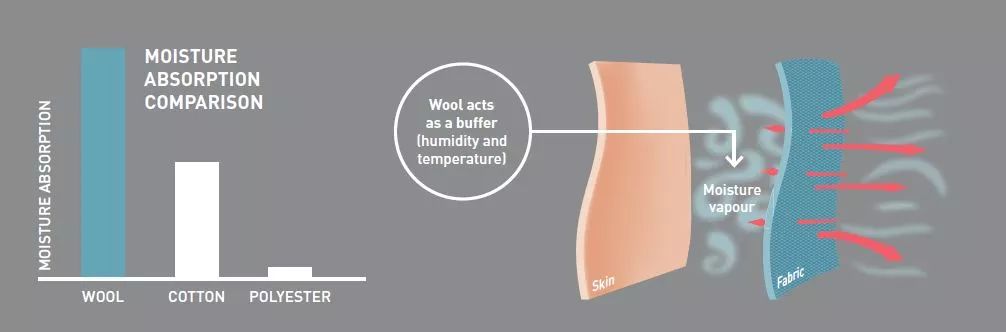 小蓝羊是机能鞋吗,小蓝羊的鞋子的优点