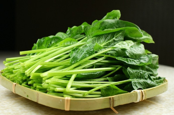 骨科专家说长高方法,骨科医生教你如何长高