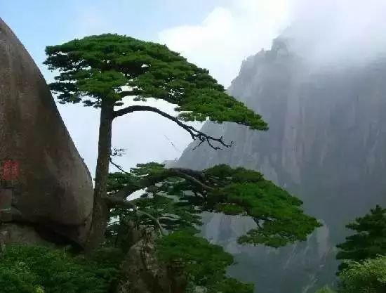 80岁前一定要去的中国的100个地方！你去过几个了？