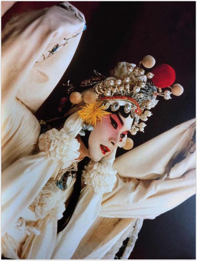 张国荣对陈凯歌的看法,张国荣对陈凯歌评价