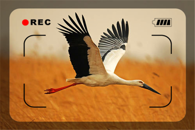 年轻人负债30万如何走出困境,37岁了负债30万如何走出困境