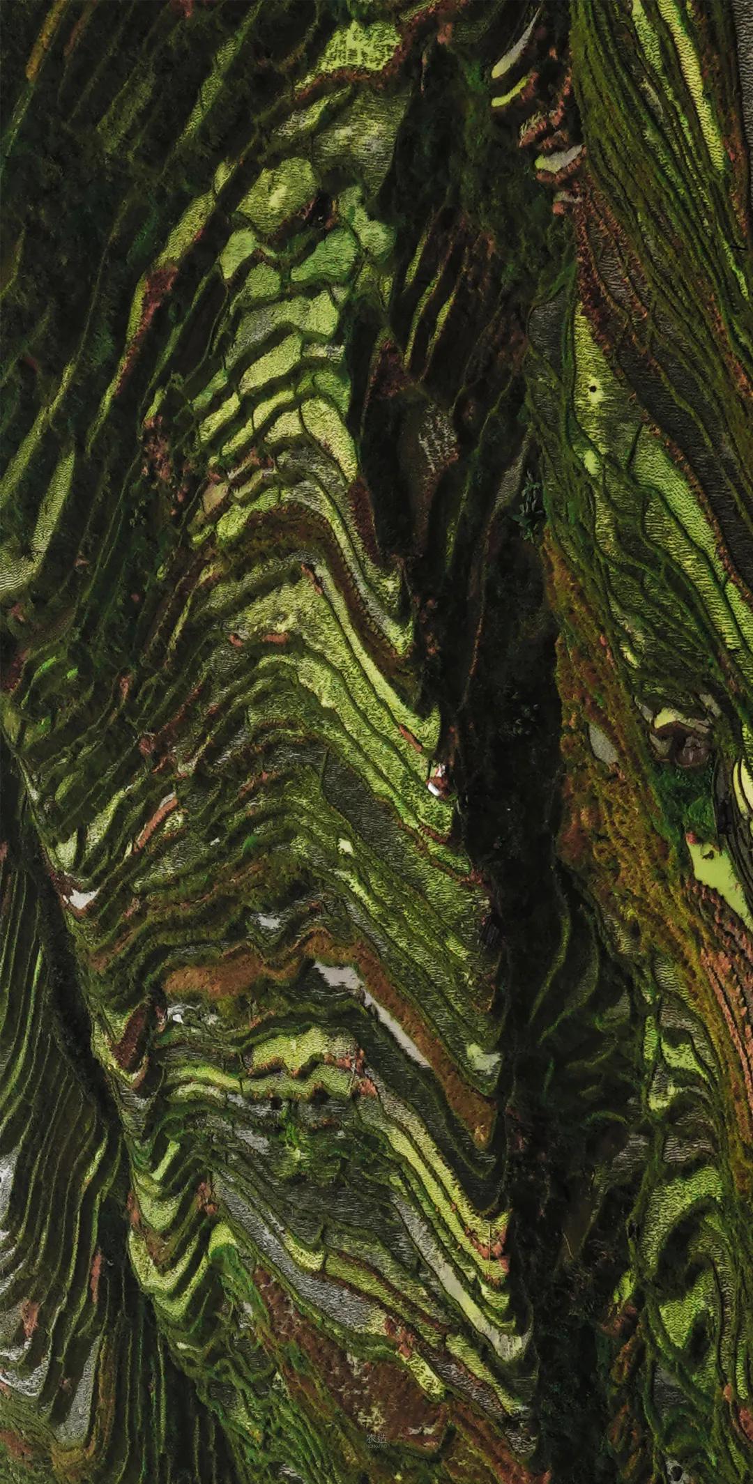 农造田野丨总有一根神经通往乡野|月亮山百里梯田