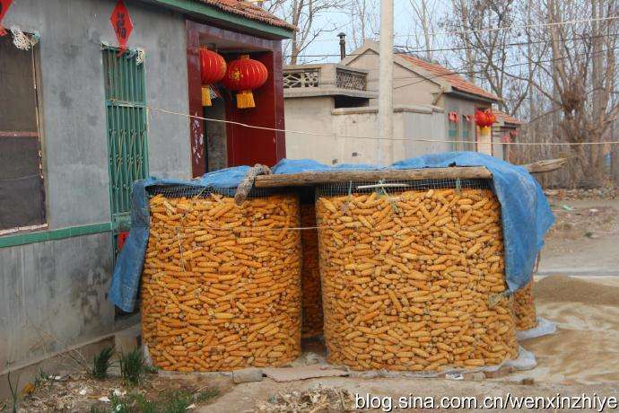 玉米脱粒工具老物件,给玉米脱粒后喘不过气怎么办