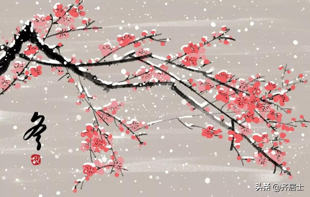 今日冬至习俗图片,冬至的习俗和禁忌有什么