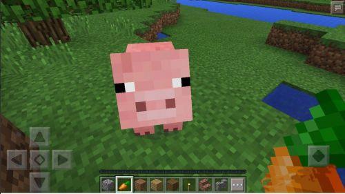 假如一辈子只能玩一款游戏,现在老滚5值得玩吗