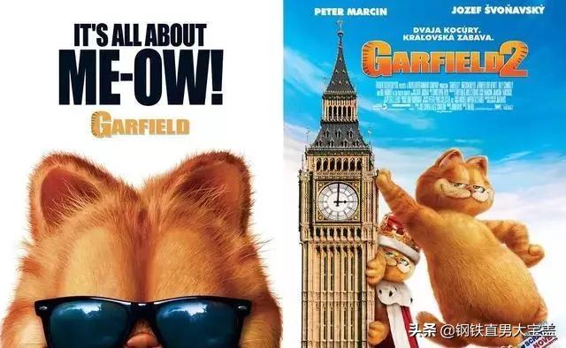 铲屎官的收藏,铲屎官不容错过的宠物清单