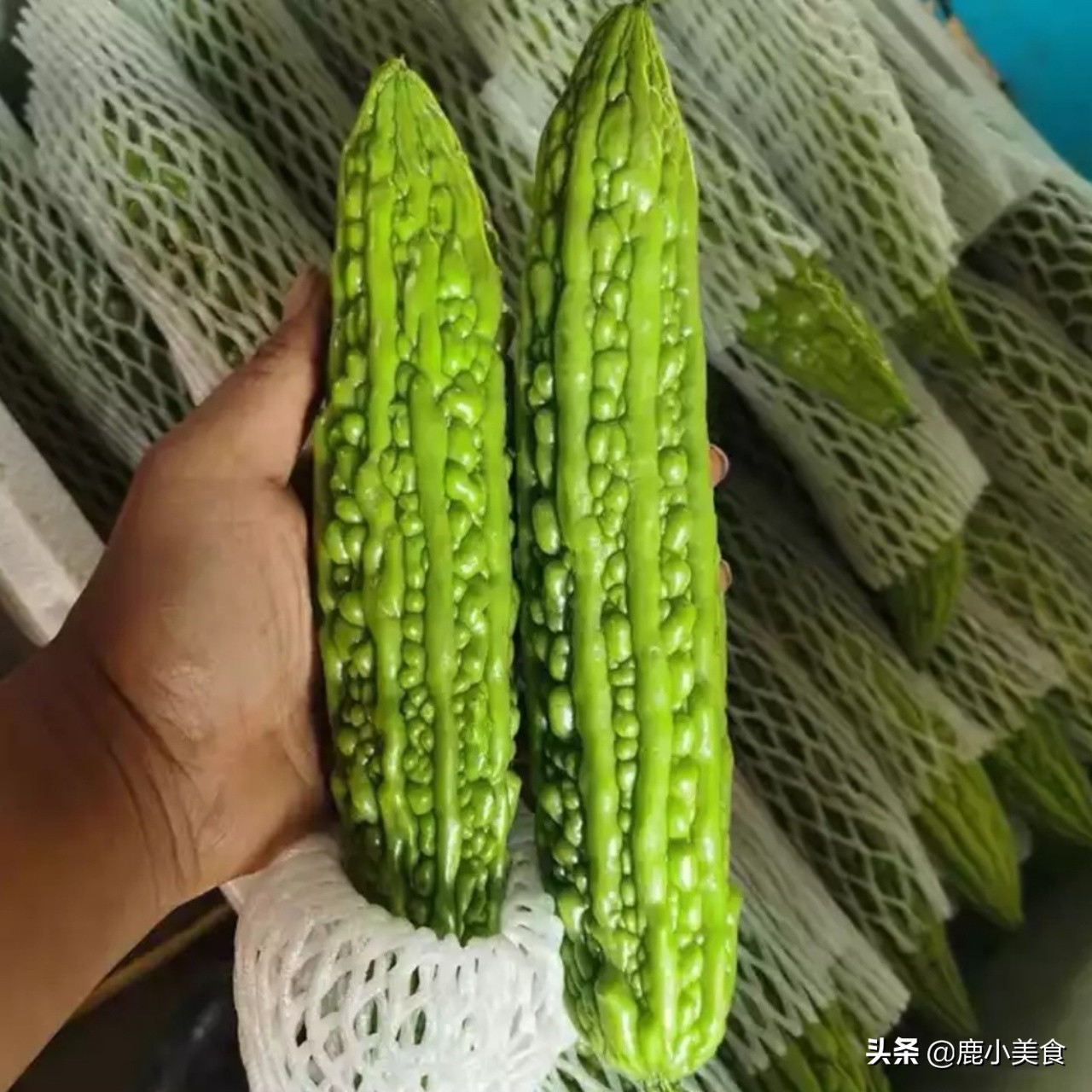 苦瓜怎么选嫩的,苦瓜怎么挑的