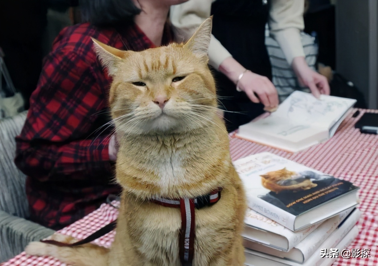 绁ㄦ埧榛戦┈鐩樼偣,绁ㄦ埧榛戦┈鍗囩骇鍥炲綊