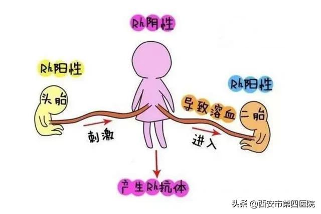 鍋ュ悍涓浗琛屽姩2019-2030鍥剧墖,鍋ュ悍涓浗琛屽姩2019-2030