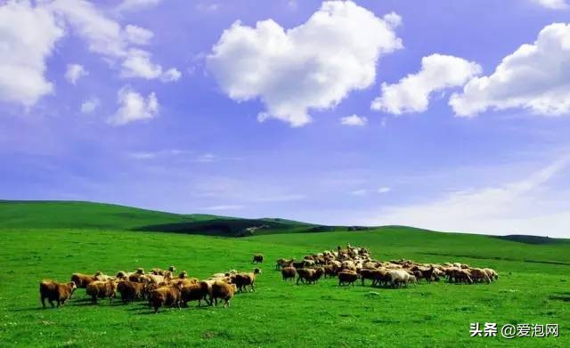 贵州最美避暑胜地,贵州六盘水乌蒙大草原避暑攻略