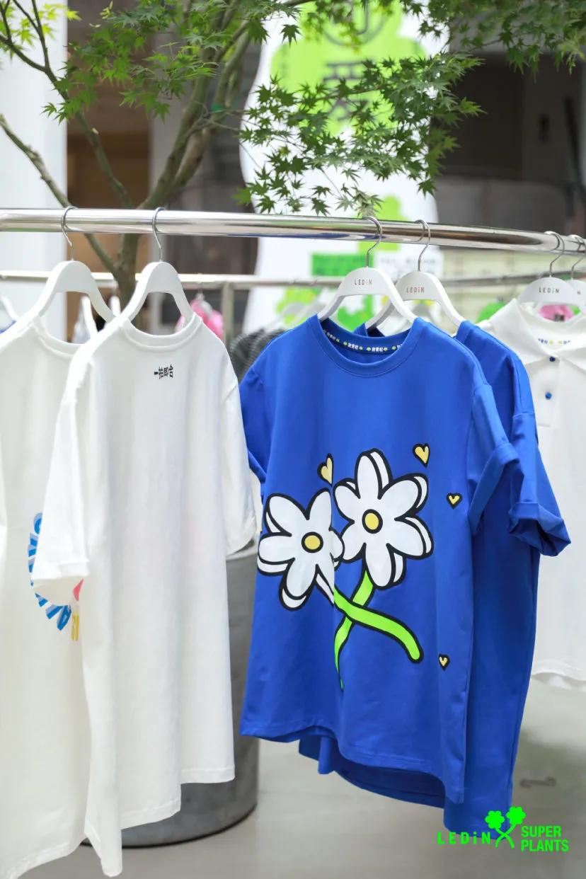 宝藏品牌大揭秘,宝藏品牌带来惊喜