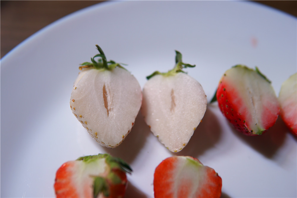 如何在网上买到真草莓,怎么在网上买正宗丹东草莓