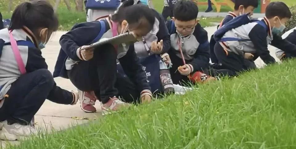 碧源月湖景观,碧源月湖公园