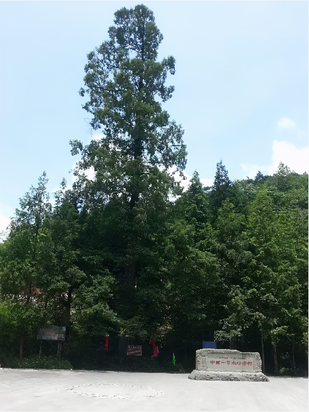 重庆石柱黄水一日游,冬天石柱黄水旅游最佳线路