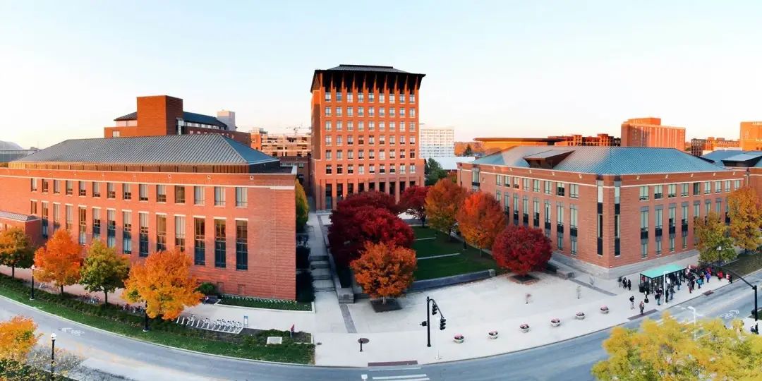 “郑爽不要孩子,和我OSU有什么关系”