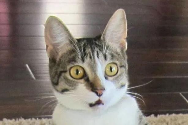 【疫情观察】下一个马云,可能会从小雨伞行业诞生