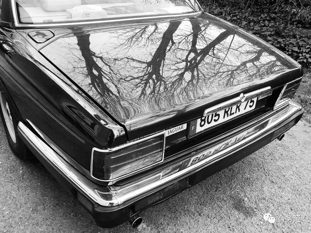 皮尔卡丹属于山寨吗,皮尔卡丹仿的哪个牌子