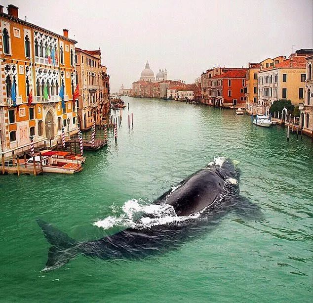 鞠文婷快板完整版,鞠文婷全部歌曲