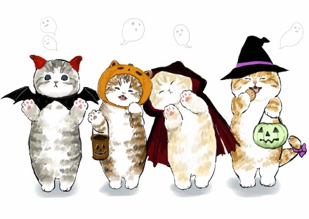 猫咪发情怎么办,教你如何处理猫咪发情